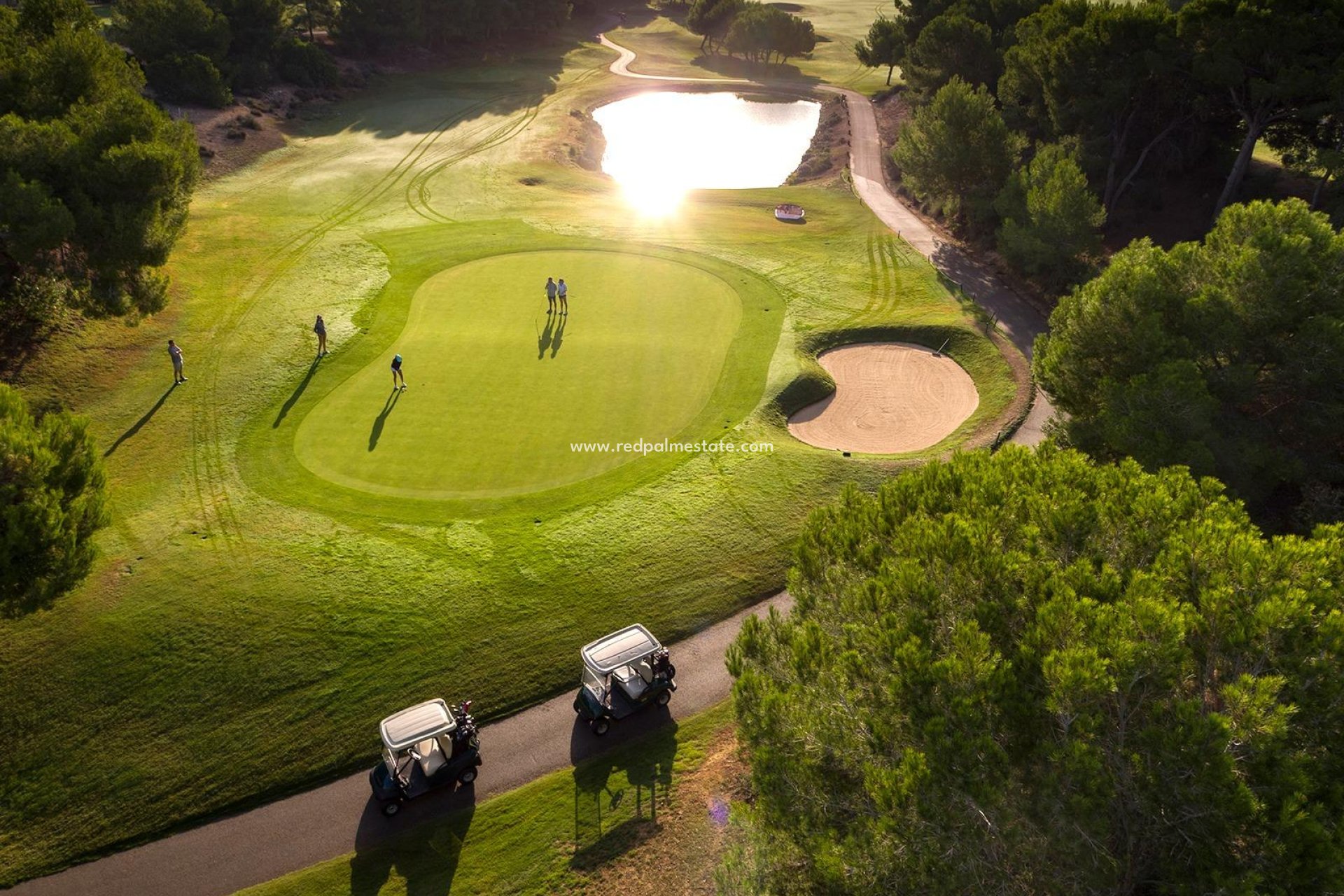 Obra nueva - Villa independiente -
Pilar de la Horadada - Lo romero golf