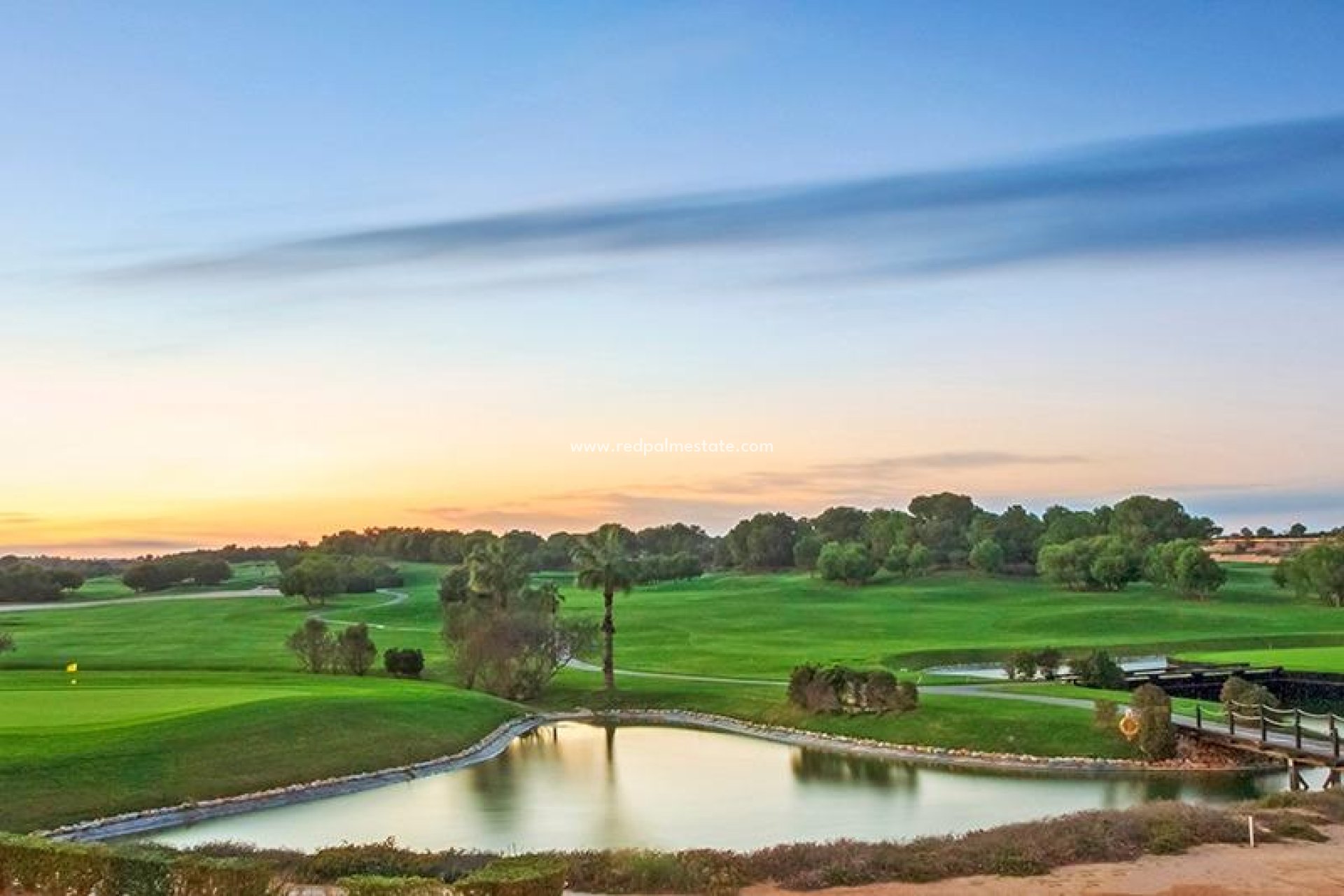 Obra nueva - Villa independiente -
Pilar de la Horadada - Lo romero golf