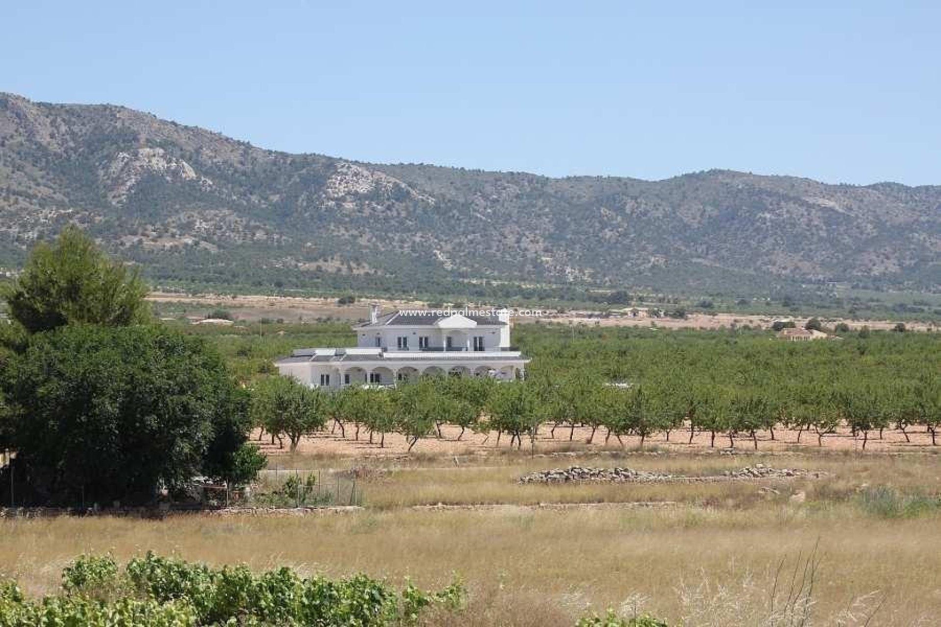 Obra nueva - Villa independiente -
Pinoso - Camino Del Prado