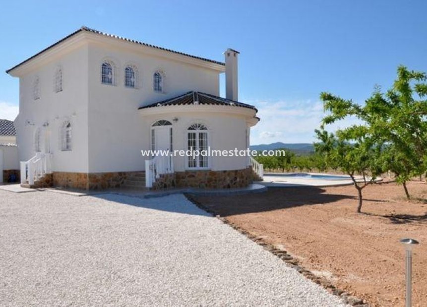 Obra nueva - Villa independiente -
Pinoso - Campo