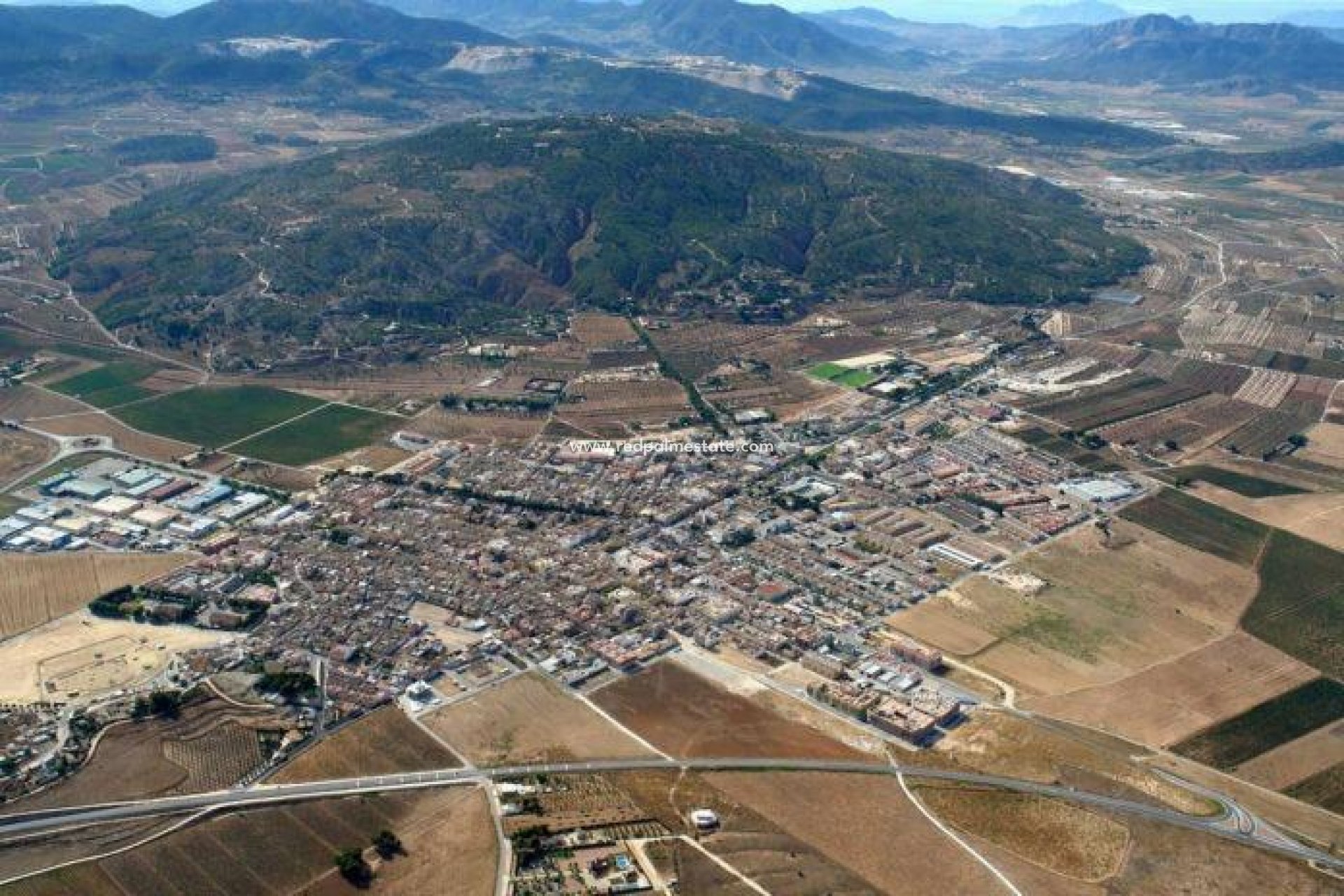 Obra nueva - Villa independiente -
Pinoso - Campo