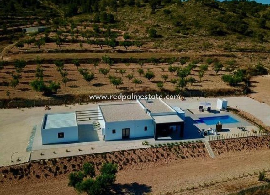 Obra nueva - Villa -
Jumilla - Torre del Rico