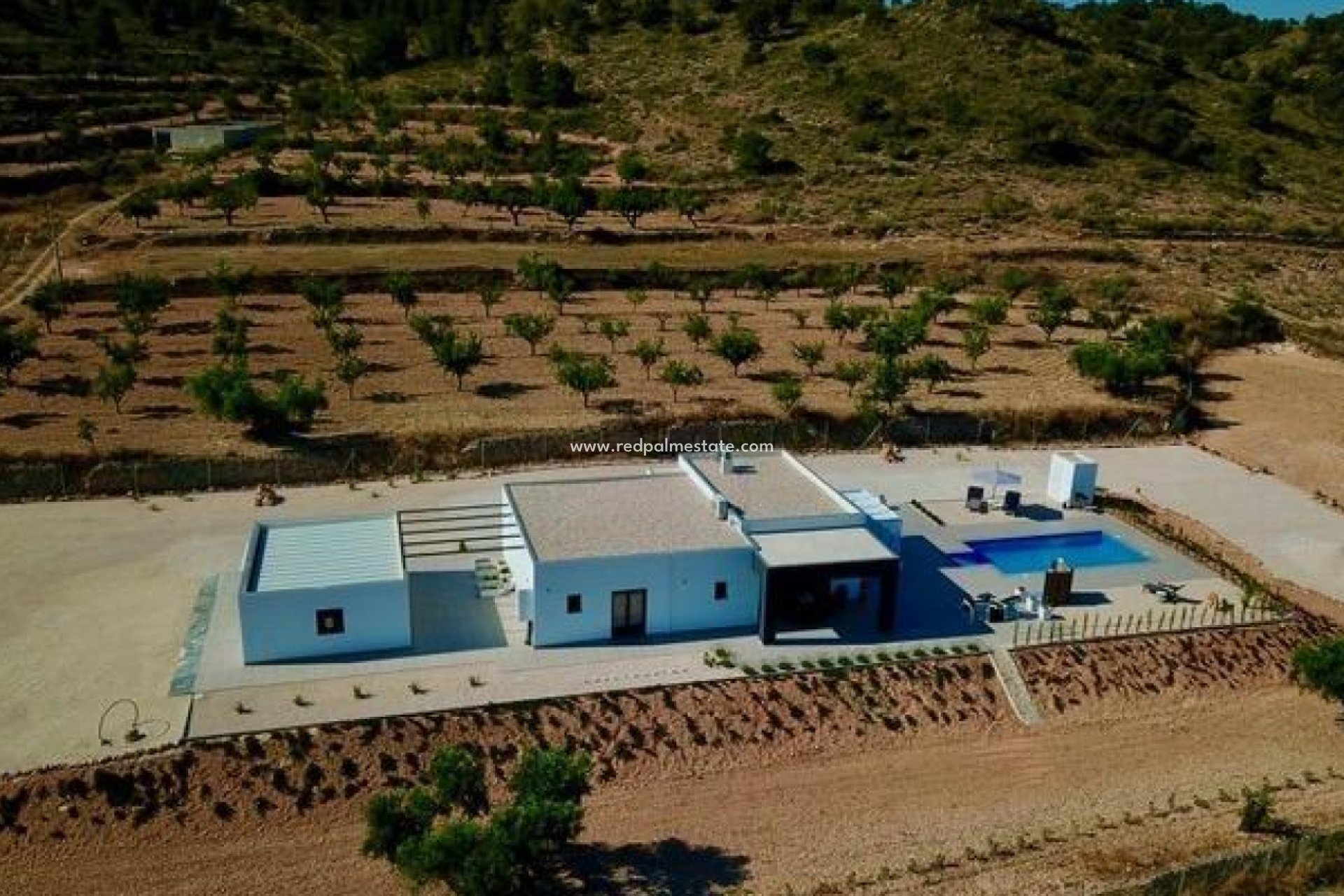 Obra nueva - Villa -
Jumilla - Torre del Rico