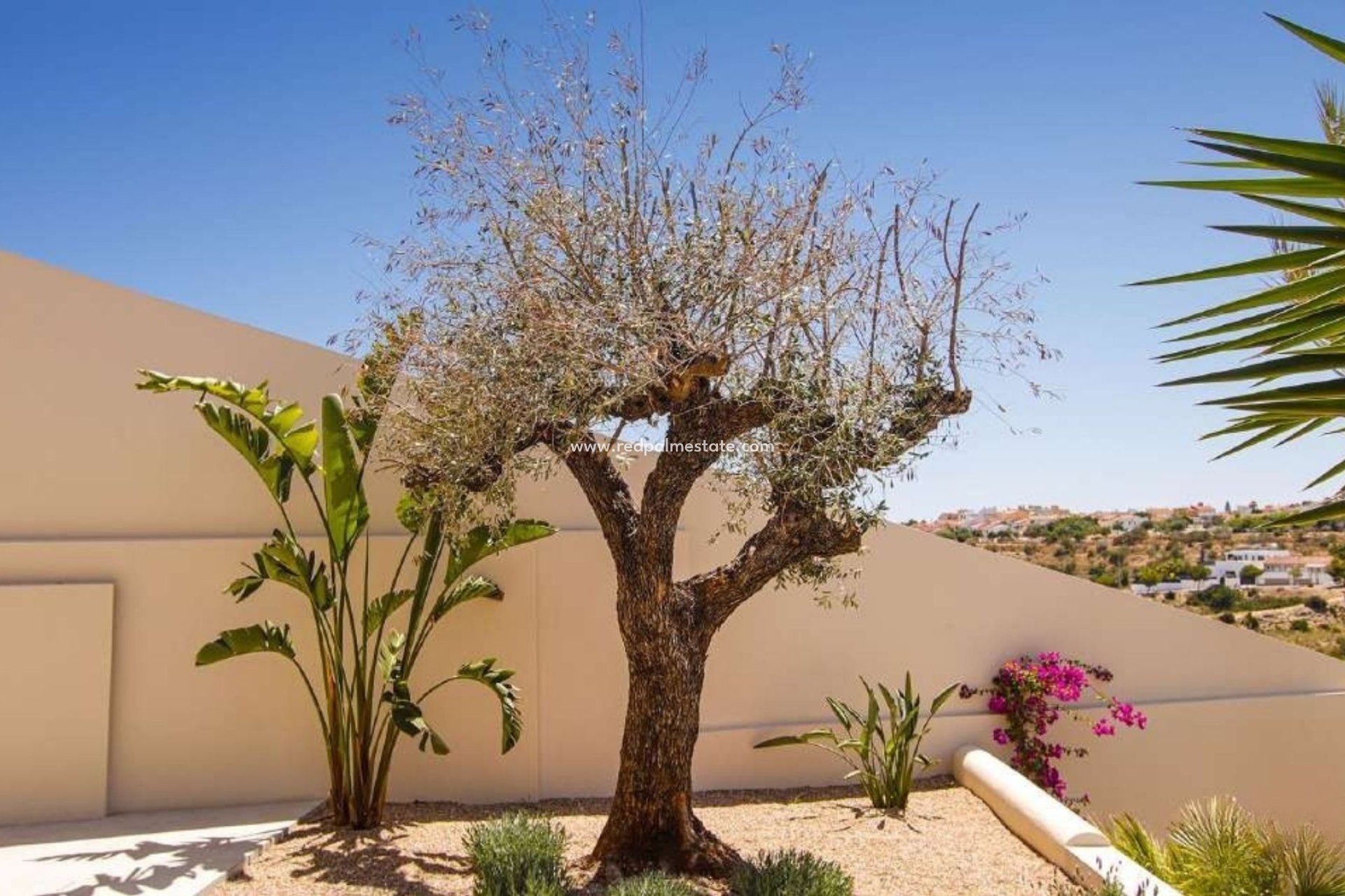 Obra nueva - Villa -
La Marina