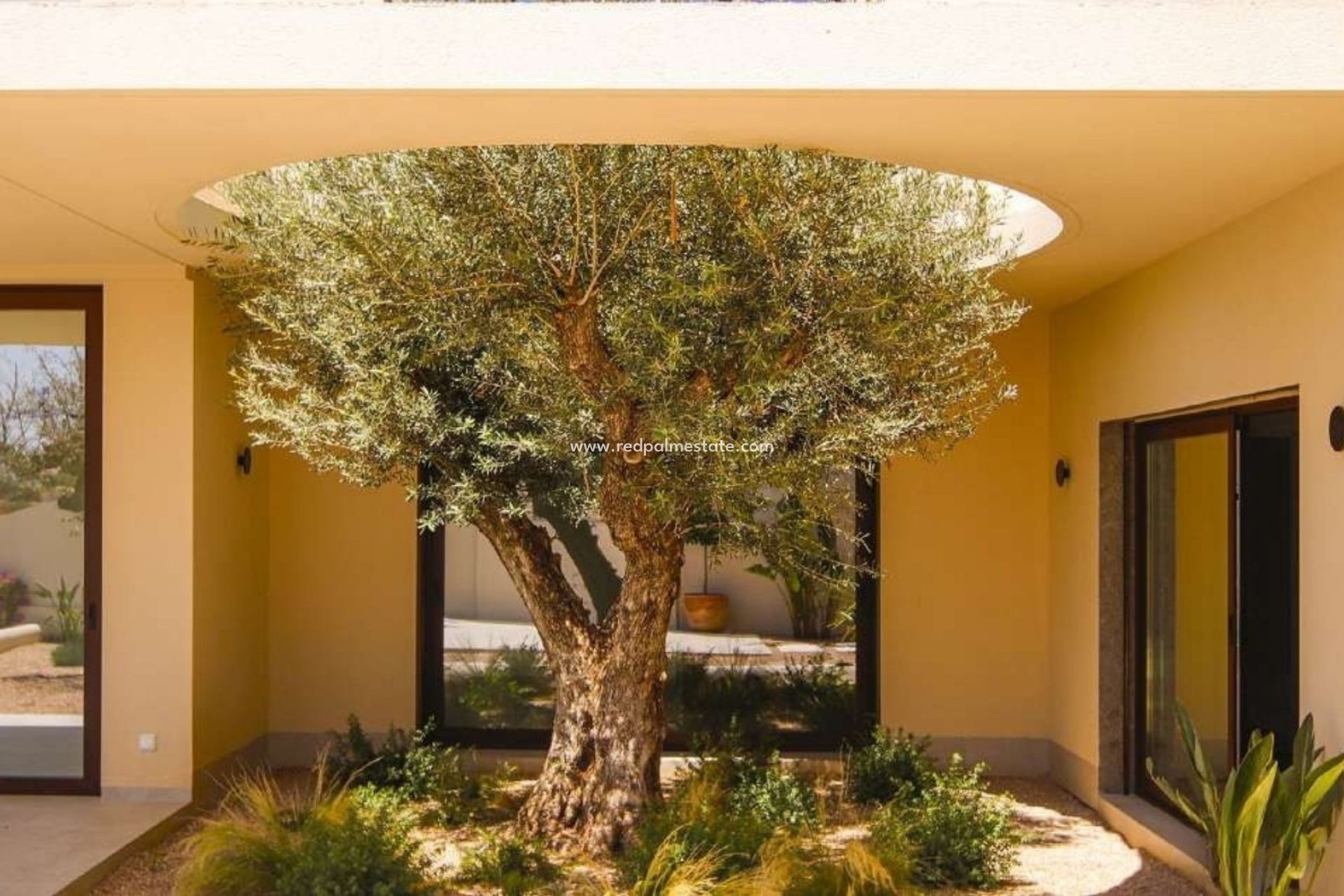 Obra nueva - Villa -
La Marina