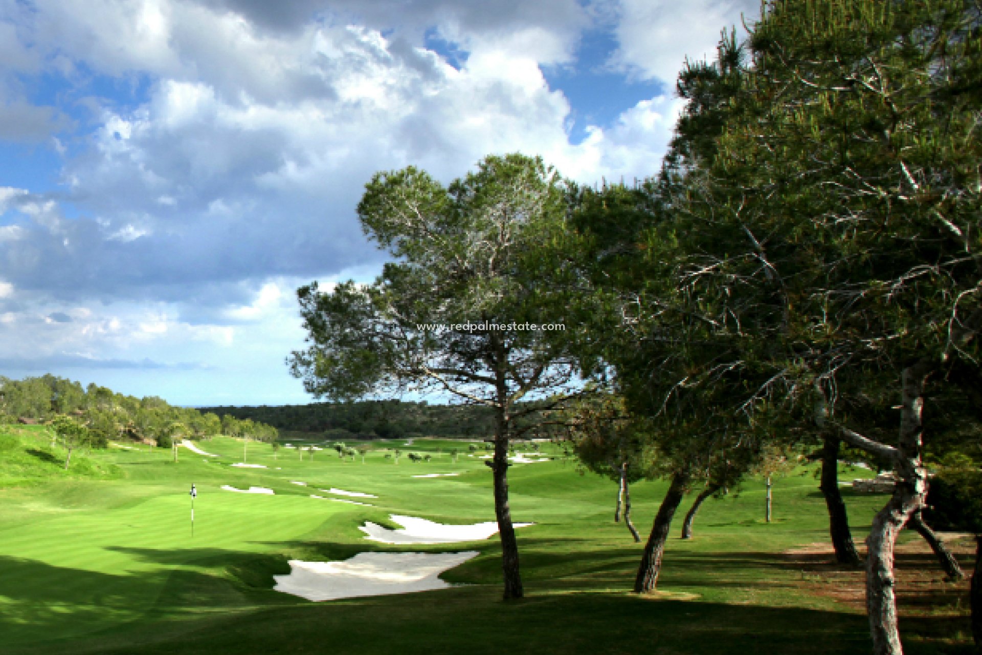 Obra nueva - Villa -
Las Colinas Golf