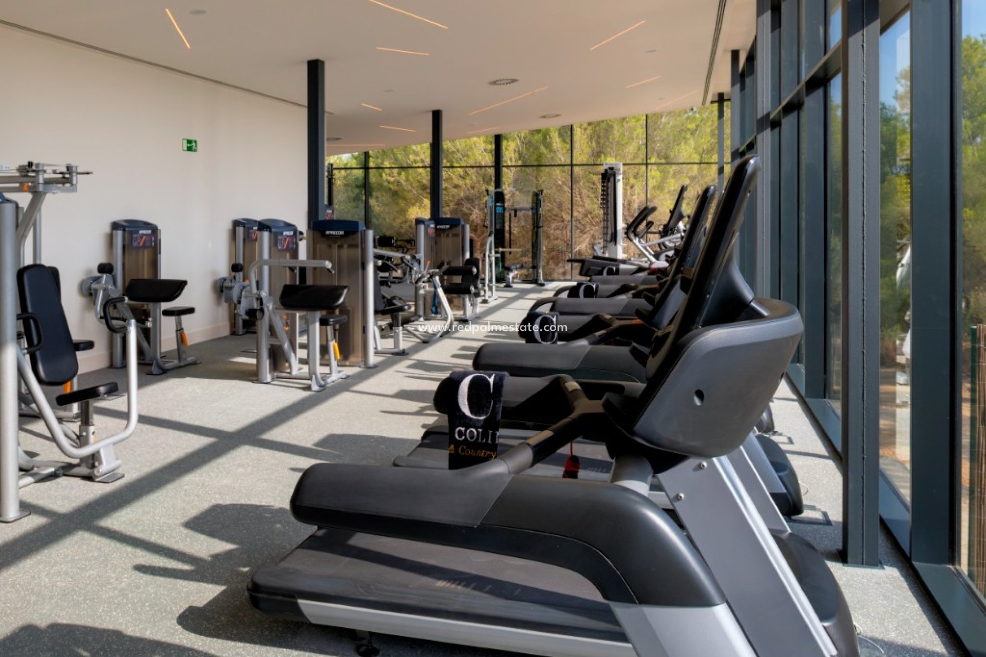 Obra nueva - Villa -
Las Colinas - Las Colinas Golf