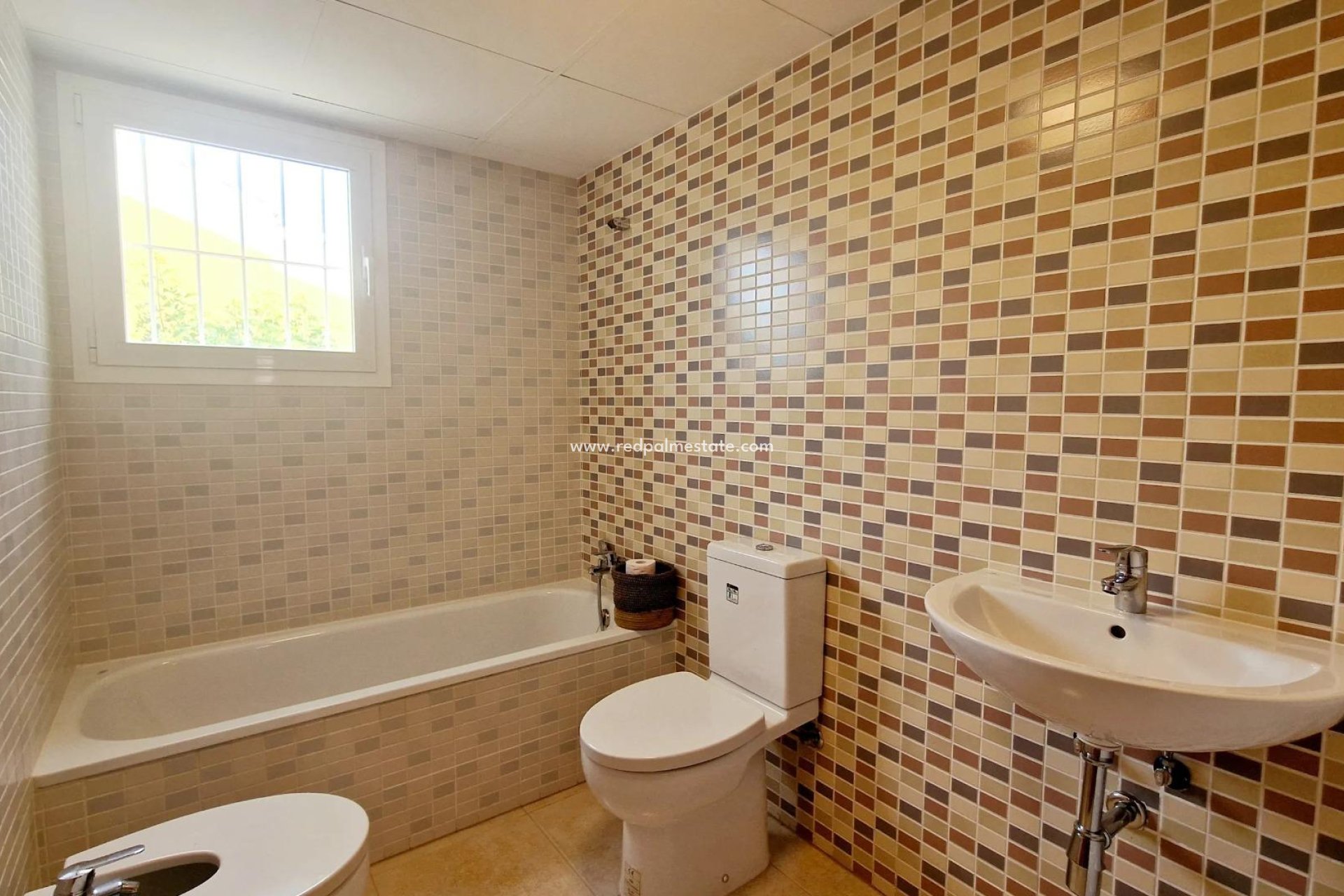 Obra nueva - Villa -
LORCA - Purias