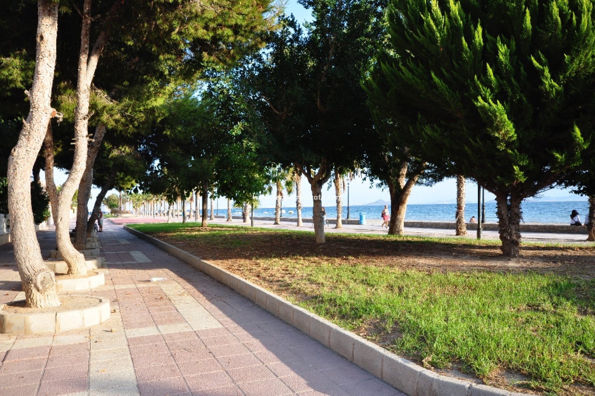 Obra nueva - Villa -
Los Alczares - Los Alcazares