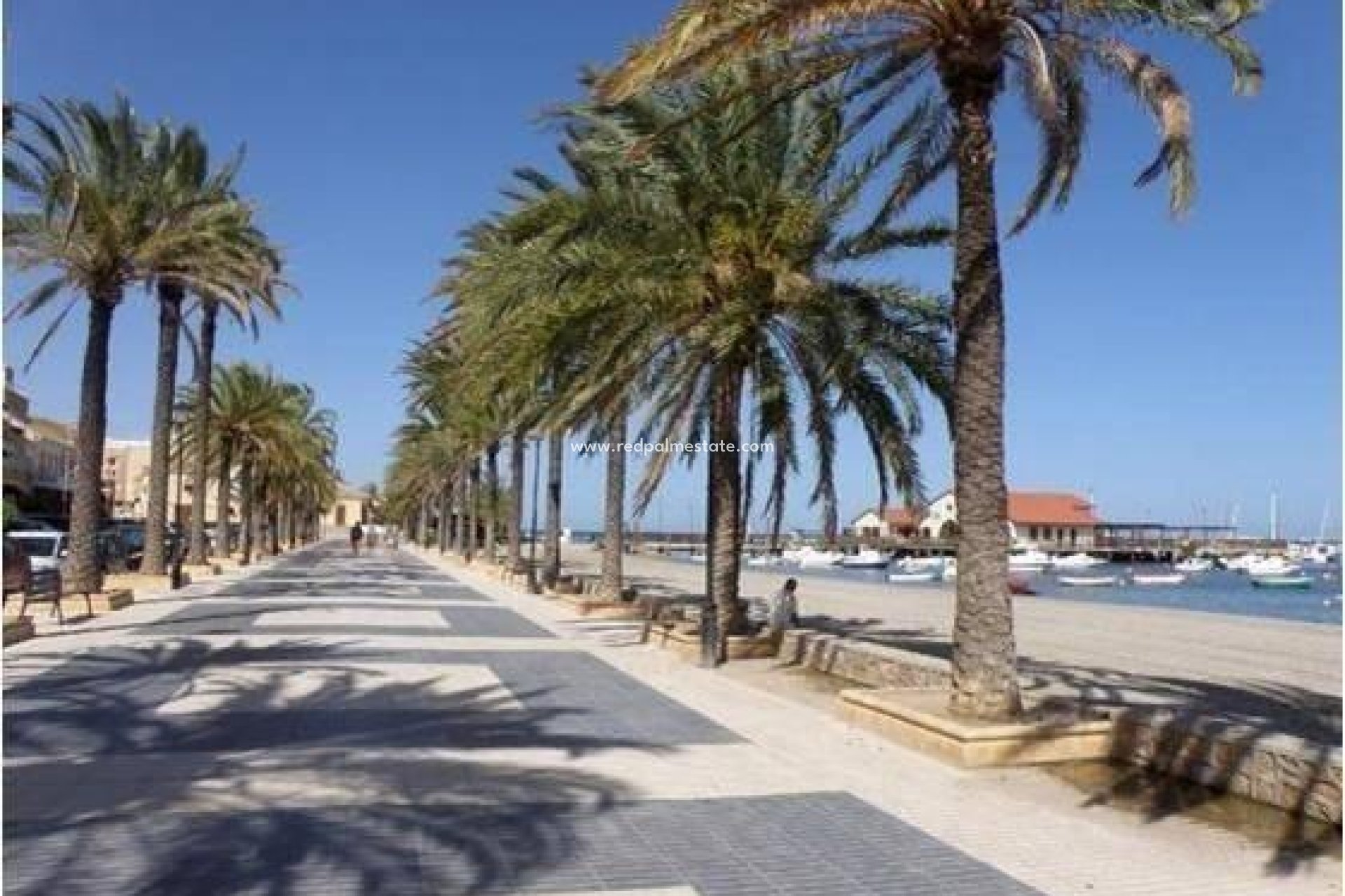 Obra nueva - Villa -
Los Alczares - Serena Golf