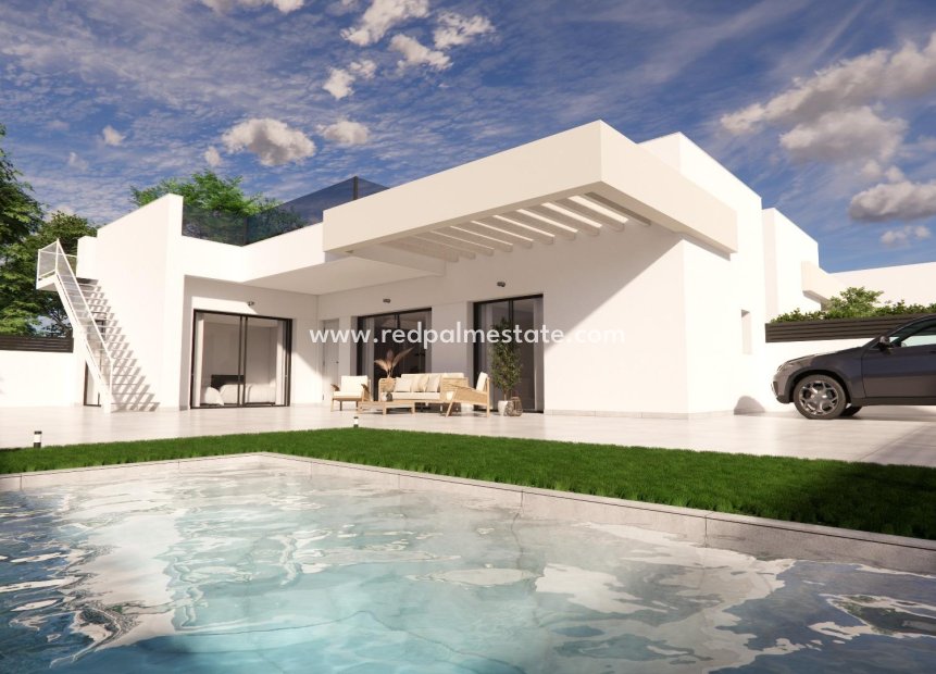 Obra nueva - Villa -
Los Montesinos - La Herada