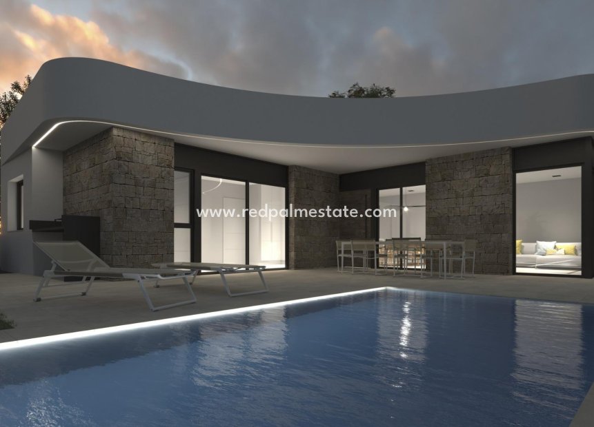 Obra nueva - Villa -
Los Montesinos - La Herada