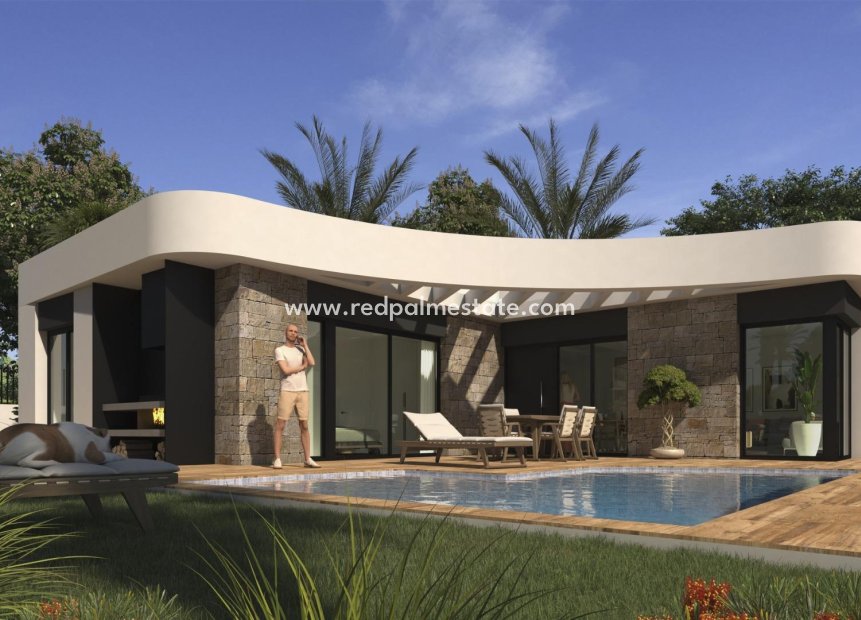 Obra nueva - Villa -
Los Montesinos - La Herada