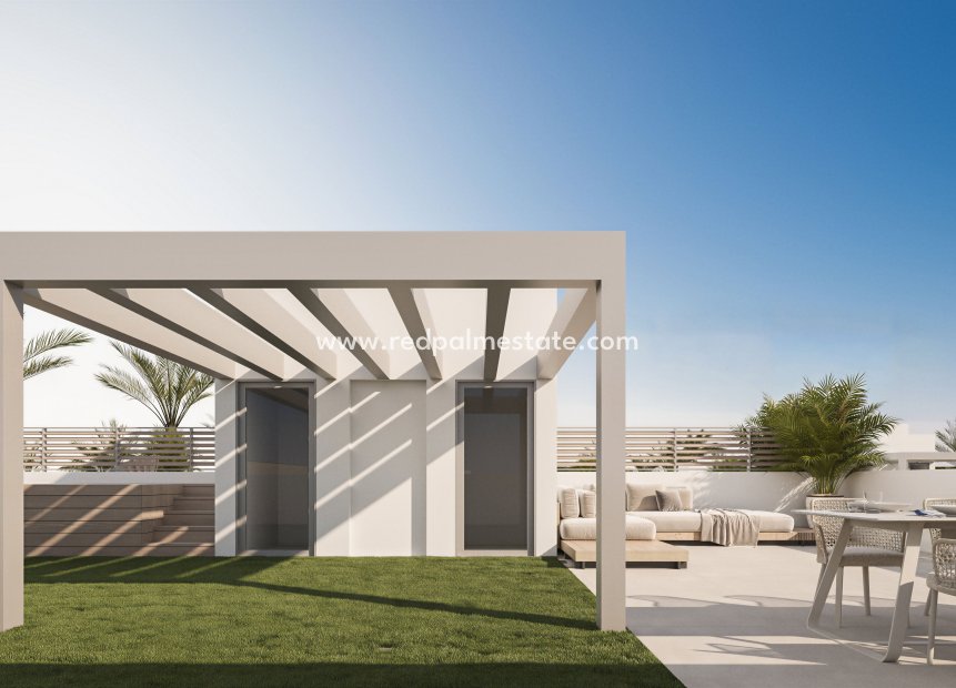 Obra nueva - Villa -
Marbella