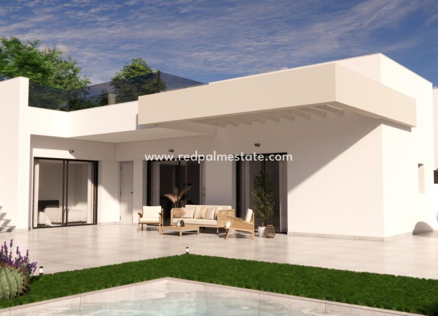 Obra nueva - Villa -
Montesinos - La Herada