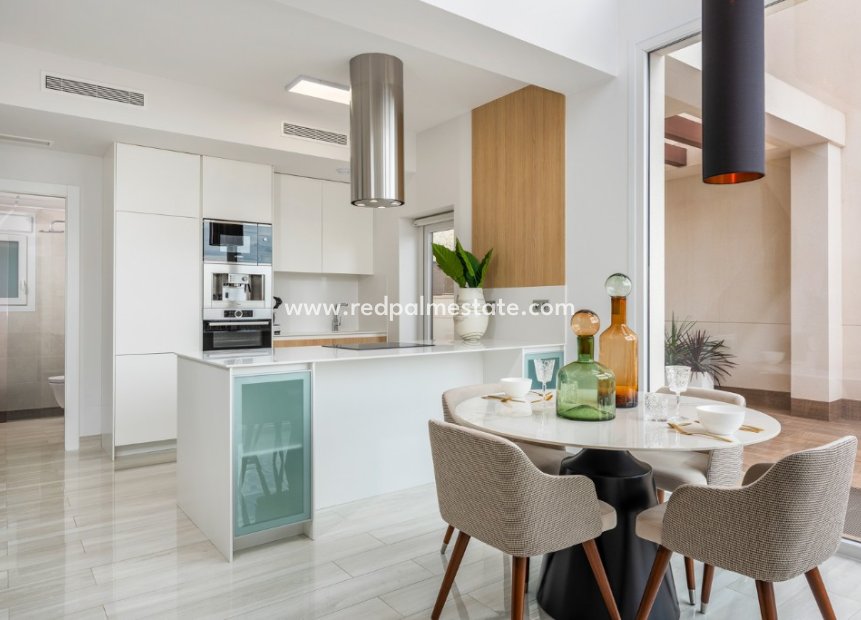 Obra nueva - Villa -
Montesinos - La Herada