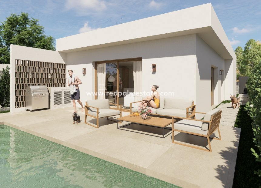 Obra nueva - Villa -
Montesinos - Los Montesinos
