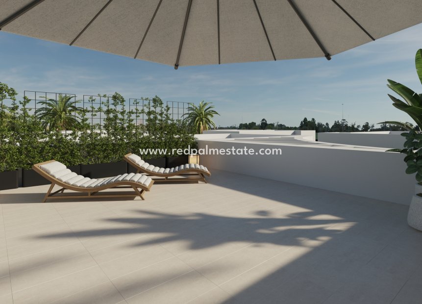Obra nueva - Villa -
Montesinos - Los Montesinos