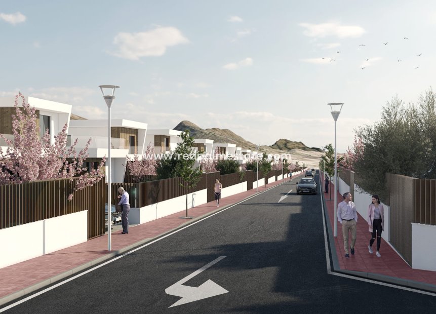 Obra nueva - Villa -
MURCIA - Murcia