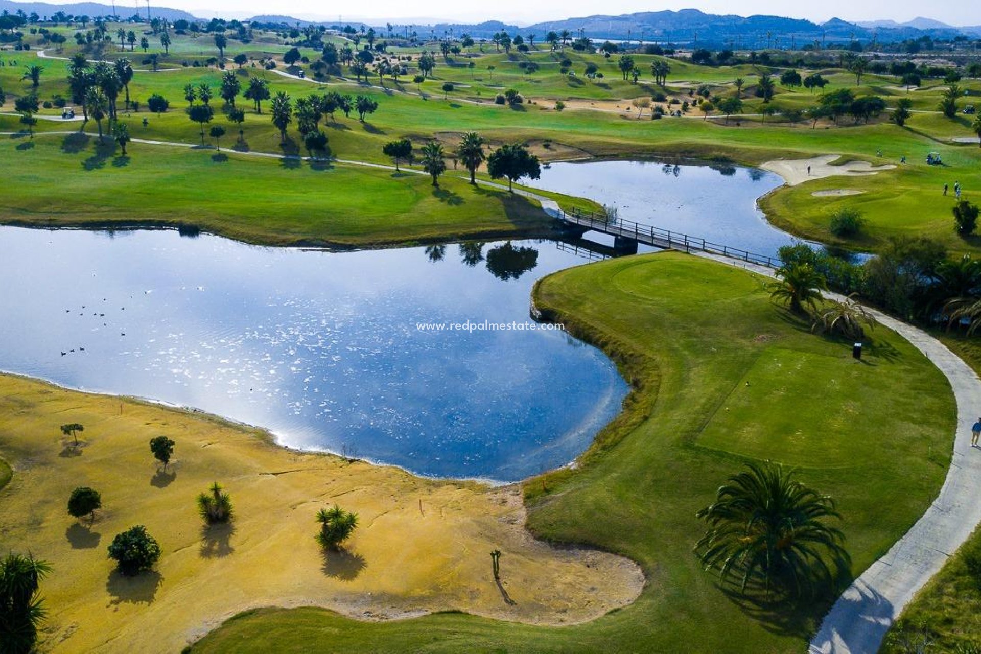 Obra nueva - Villa -
Orihuela - Vistabella Golf Entre Naranjos