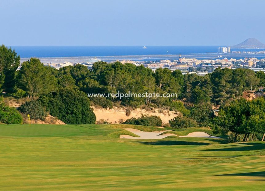 Obra nueva - Villa -
Pilar de la Horadada - Lo romero golf