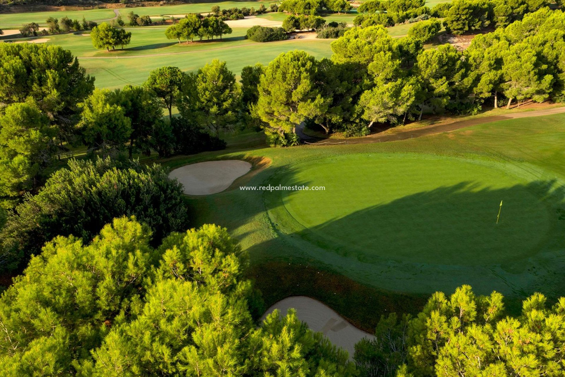 Obra nueva - Villa -
Pilar de la Horadada - Lo romero golf