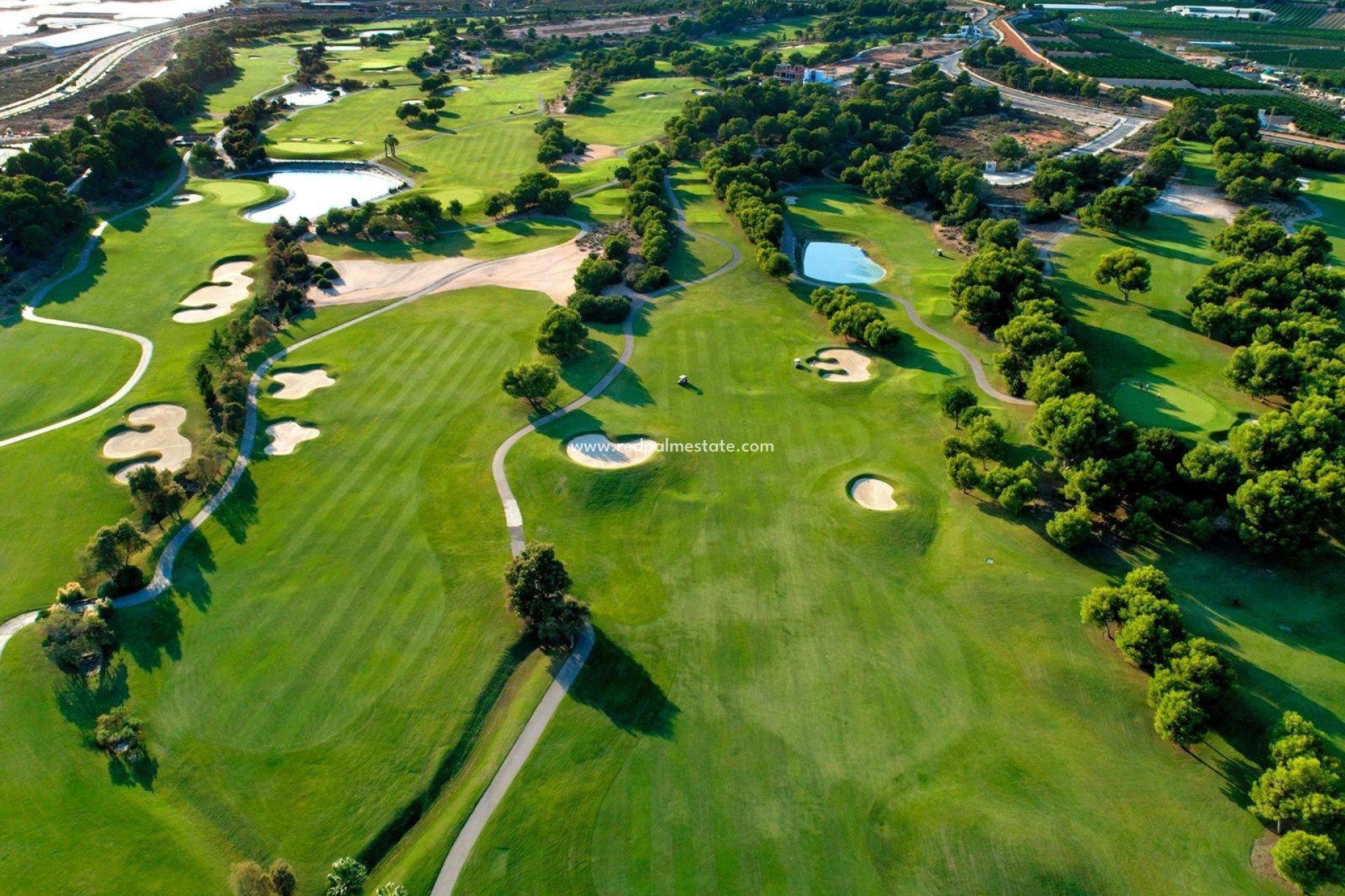 Obra nueva - Villa -
Pilar de la Horadada - Lo romero golf