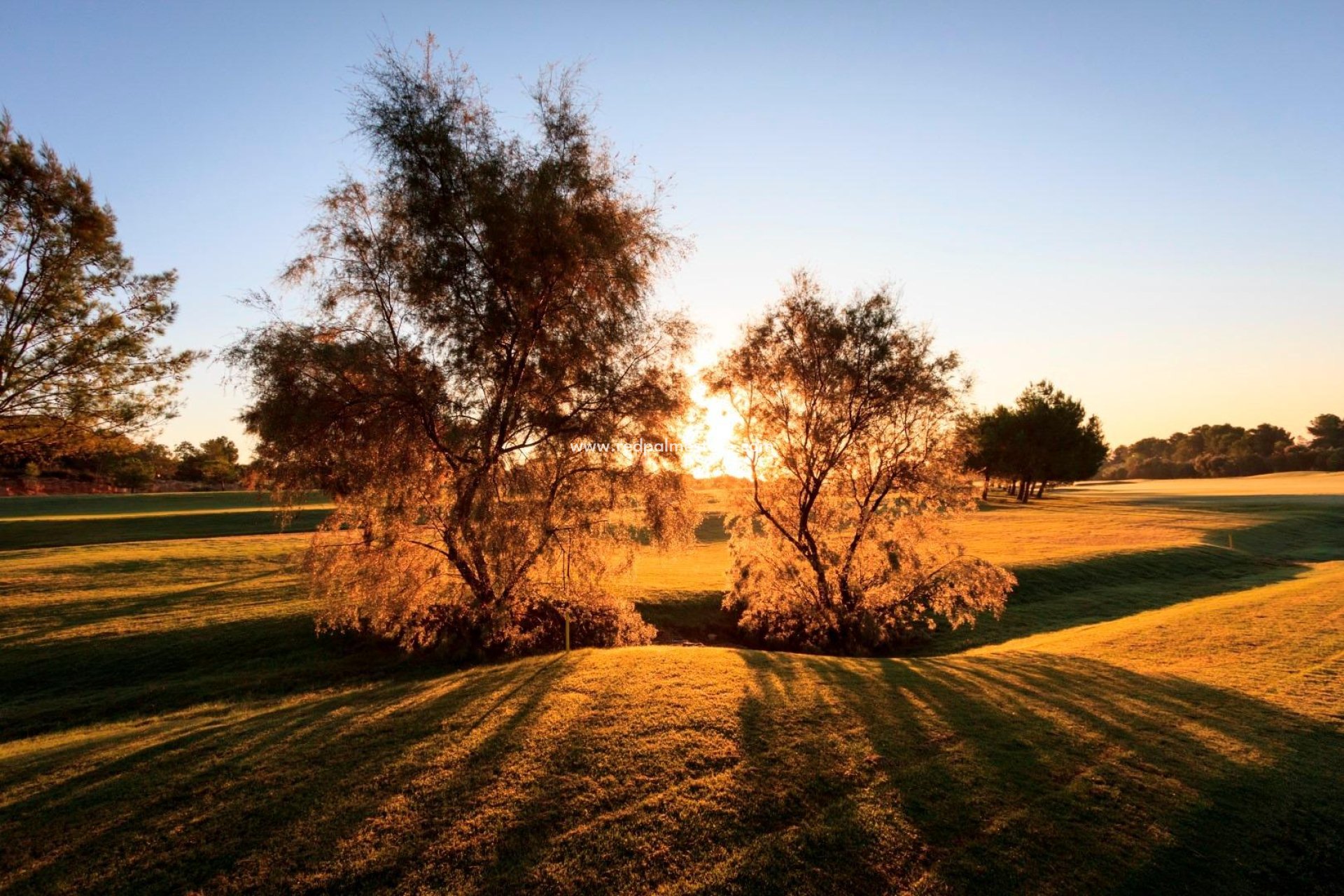 Obra nueva - Villa -
Pilar de la Horadada - Lo romero golf