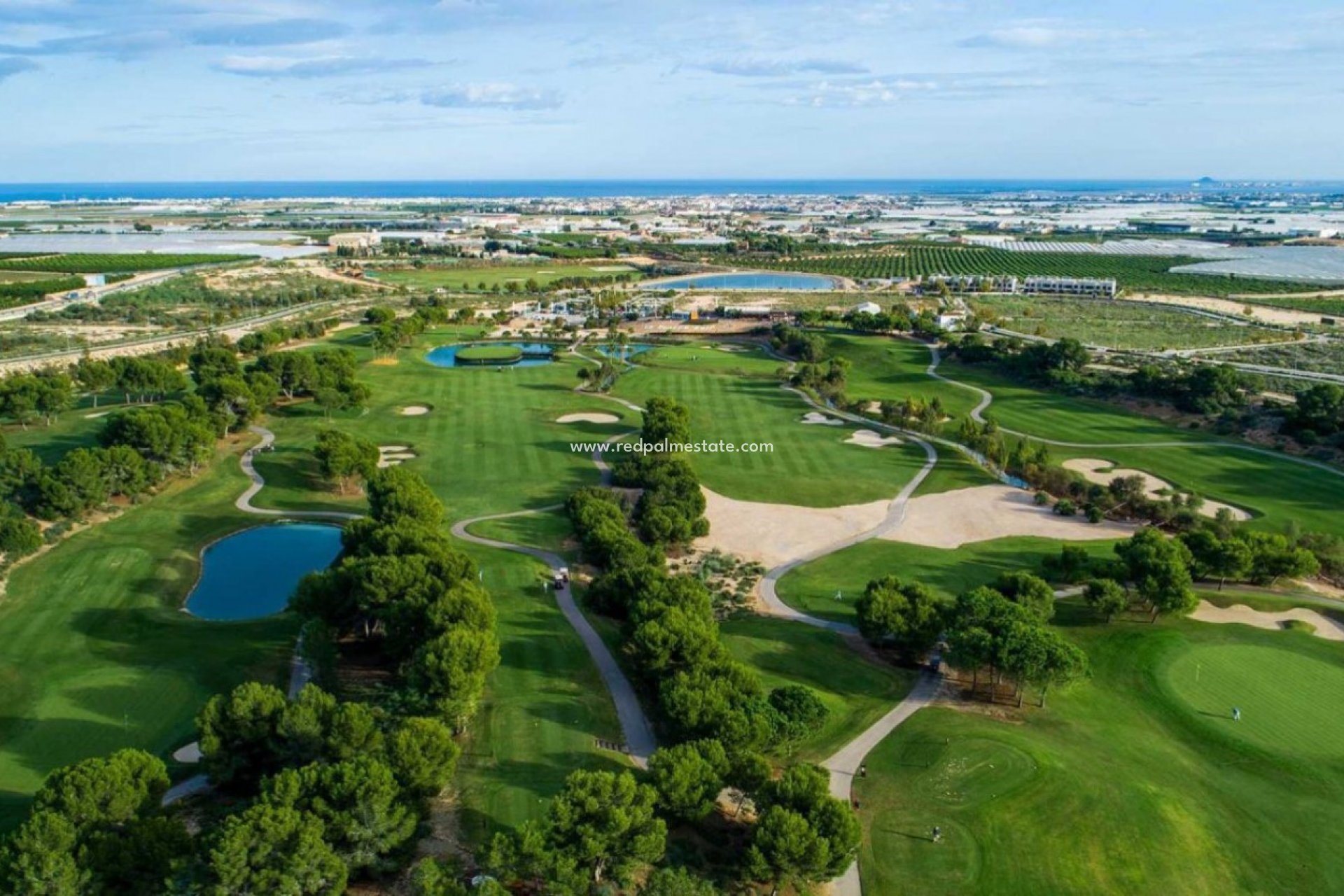 Obra nueva - Villa -
Pilar de la Horadada - Lo romero golf