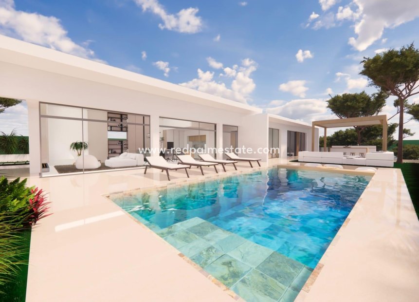 Obra nueva - Villa -
Pilar de la Horadada - Pinar de Campoverde