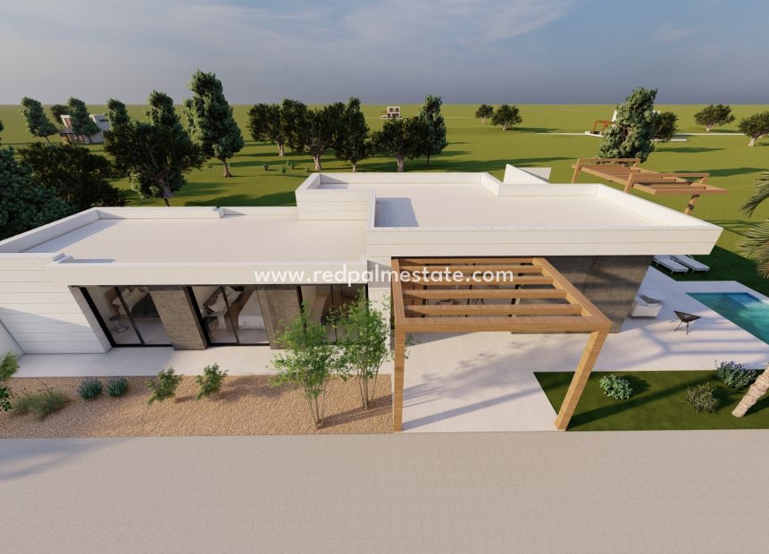 Obra nueva - Villa -
Pilar de la Horadada