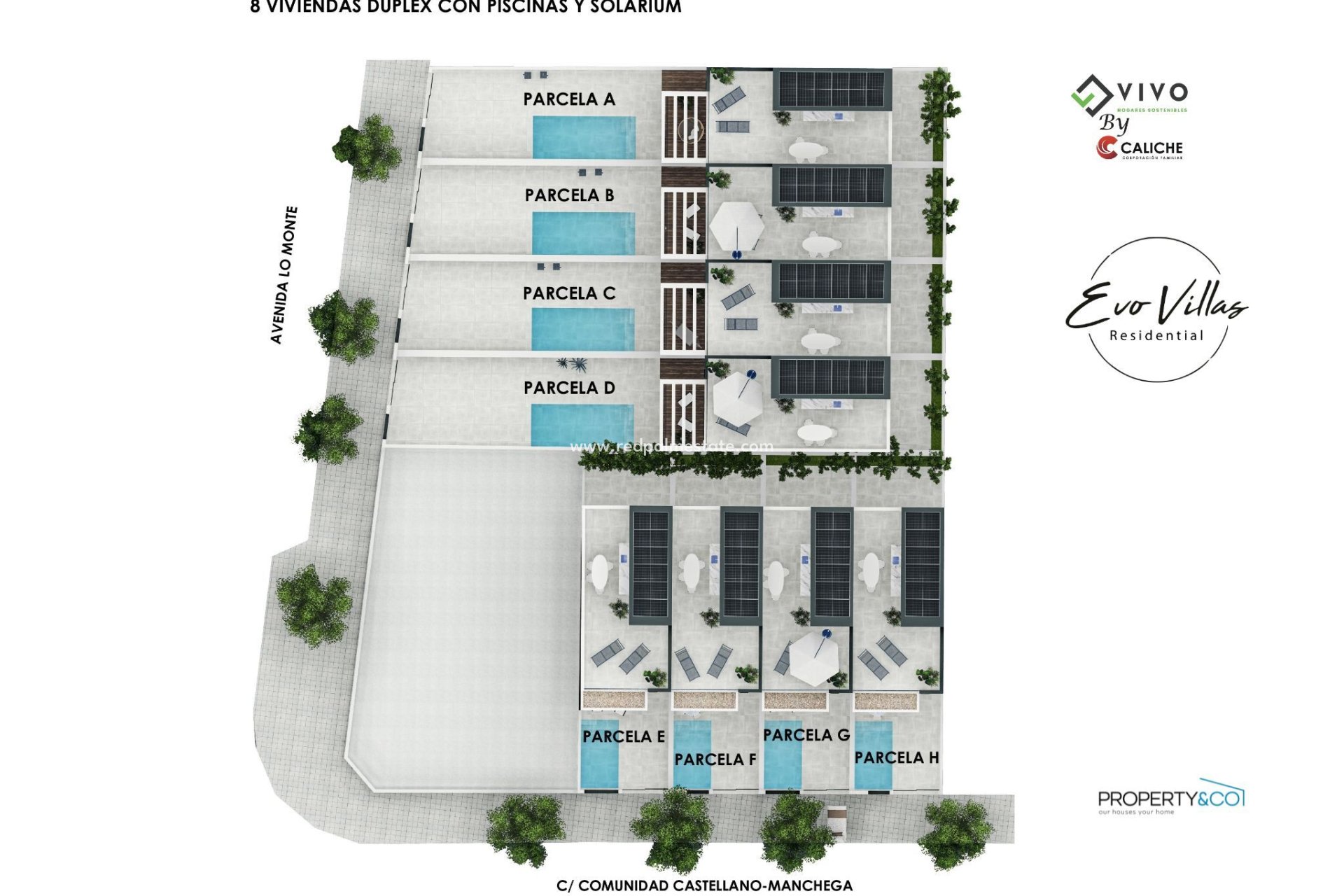 Obra nueva - Villa -
Pilar de la Horadada