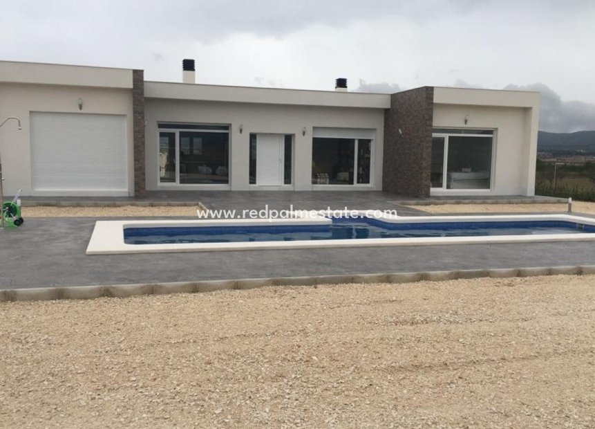 Obra nueva - Villa -
Pinoso - Camino Del Prado