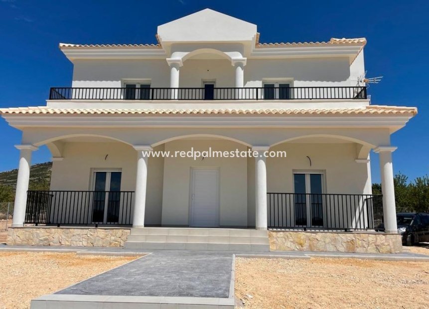 Obra nueva - Villa -
Pinoso - Camino Del Prado