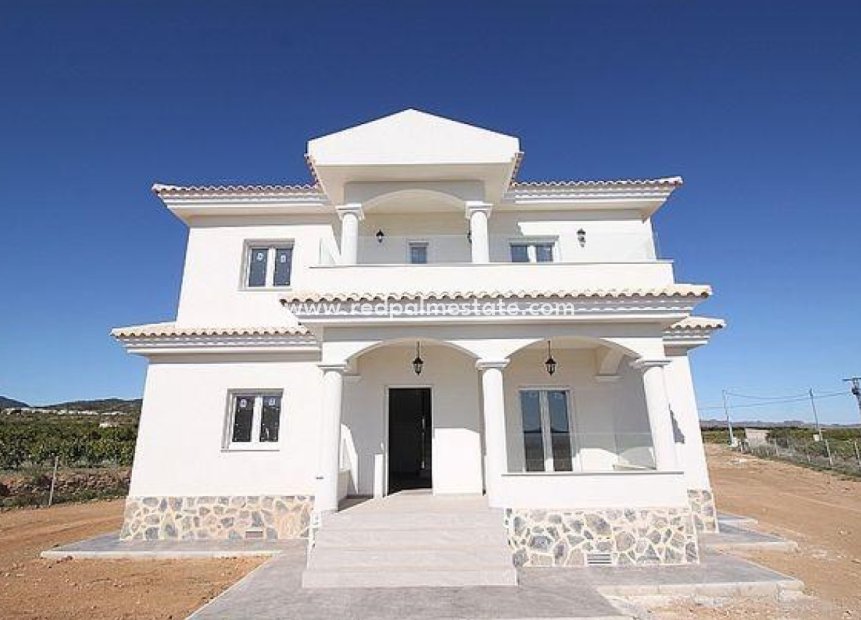 Obra nueva - Villa -
Pinoso - Camino Del Prado