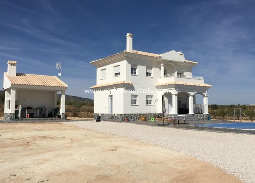 Obra nueva - Villa -
Pinoso - Camino Del Prado