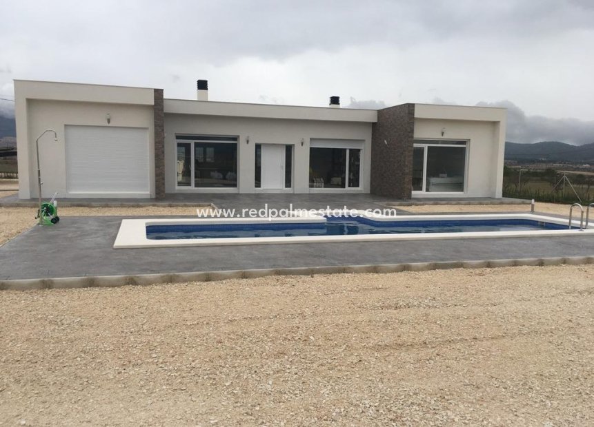 Obra nueva - Villa -
Pinoso - Camino Del Prado