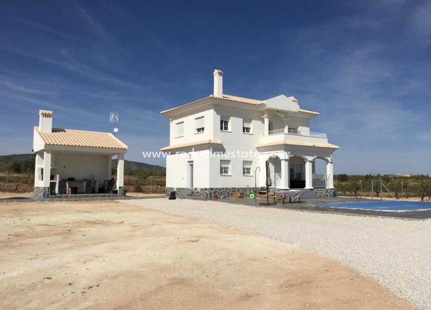 Obra nueva - Villa -
Pinoso - Camino Del Prado