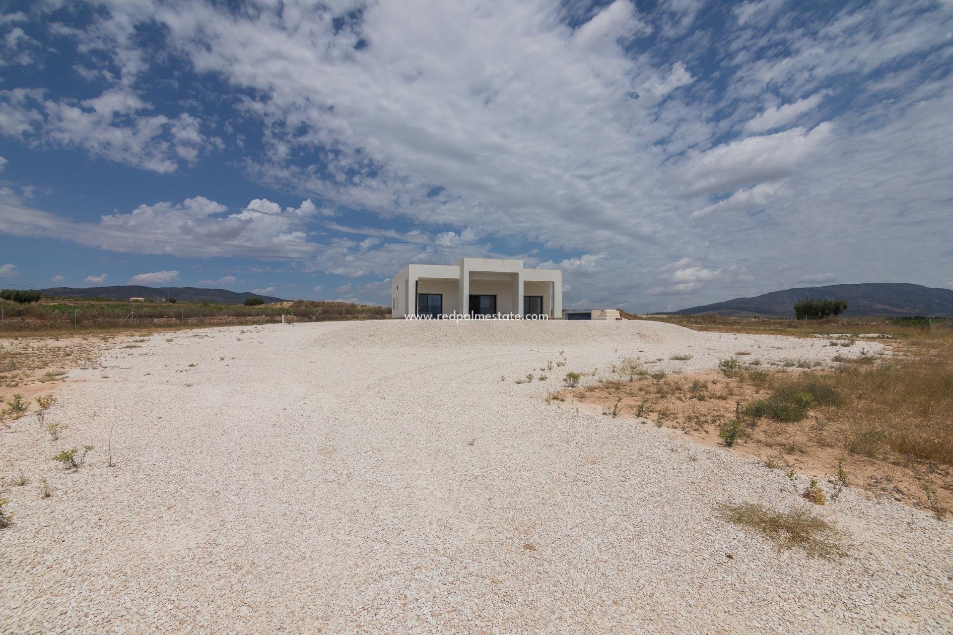 Obra nueva - Villa -
Pinoso - Campo