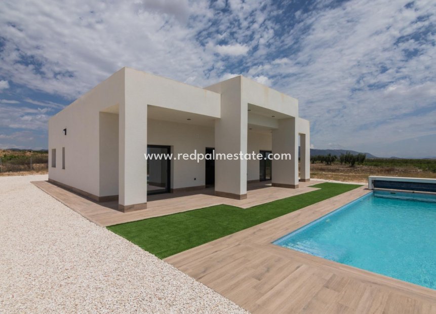 Obra nueva - Villa -
Pinoso - Campo