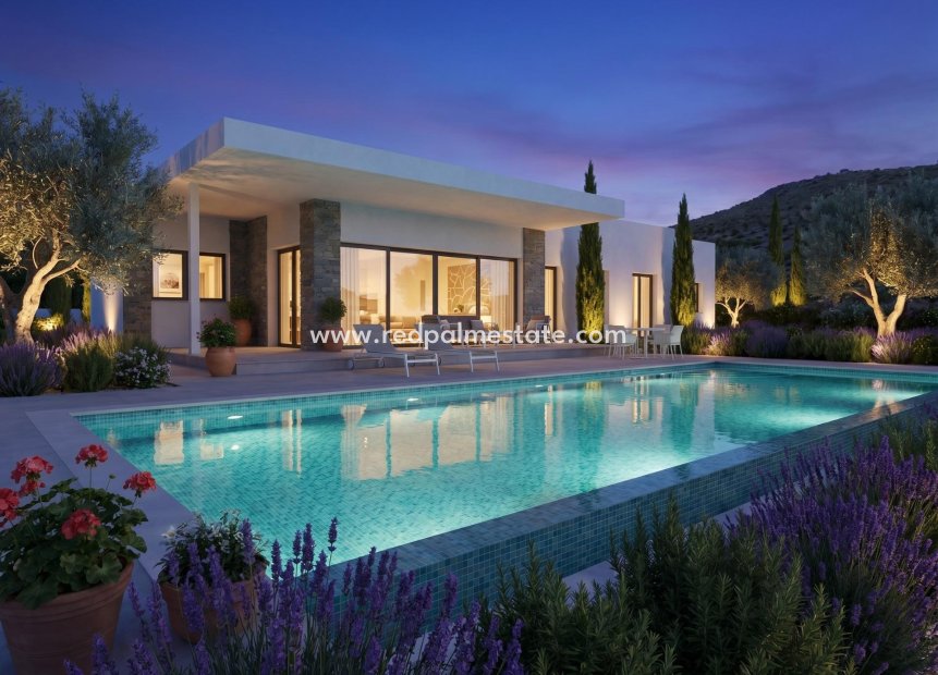 Obra nueva - Villa -
Pinoso - Casas Pastor