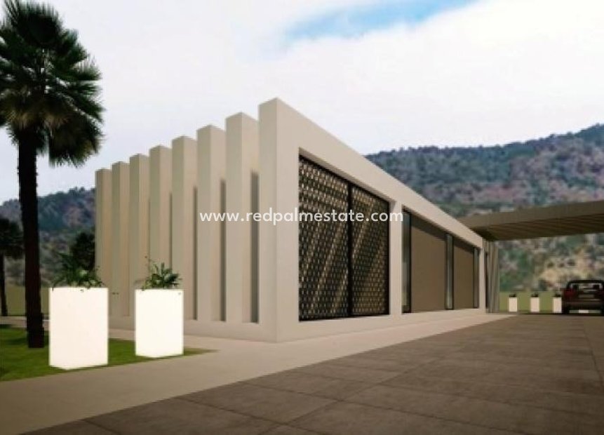 Obra nueva - Villa -
Pinoso - Culebron