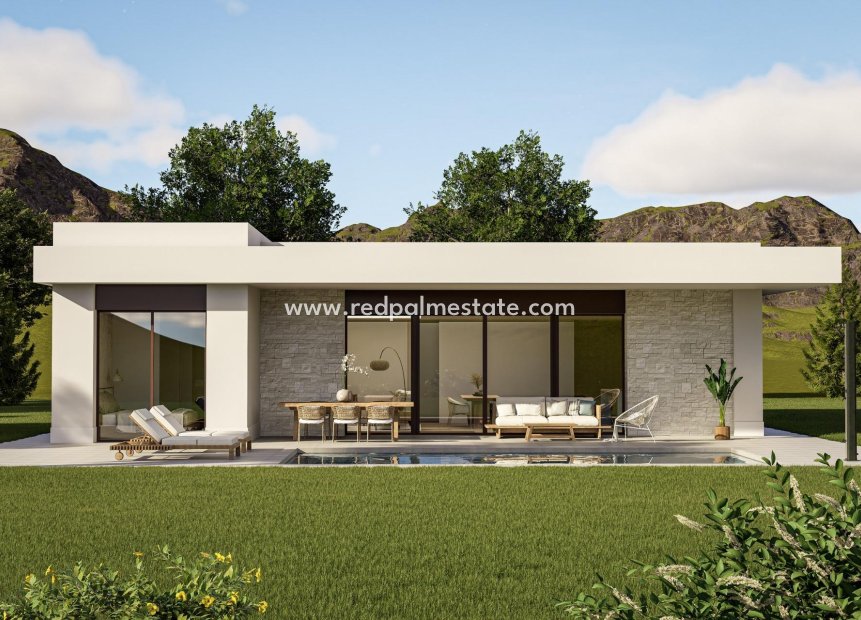 Obra nueva - Villa -
Pinoso - Lel