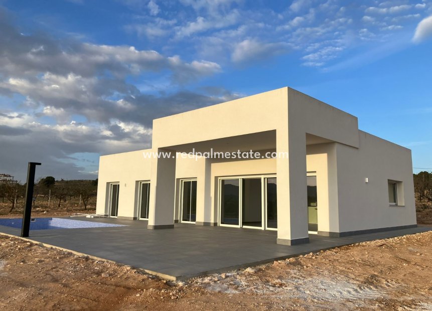 Obra nueva - Villa -
Pinoso
