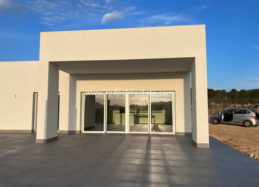 Obra nueva - Villa -
Pinoso