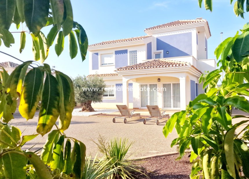 Obra nueva - Villa -
Purias