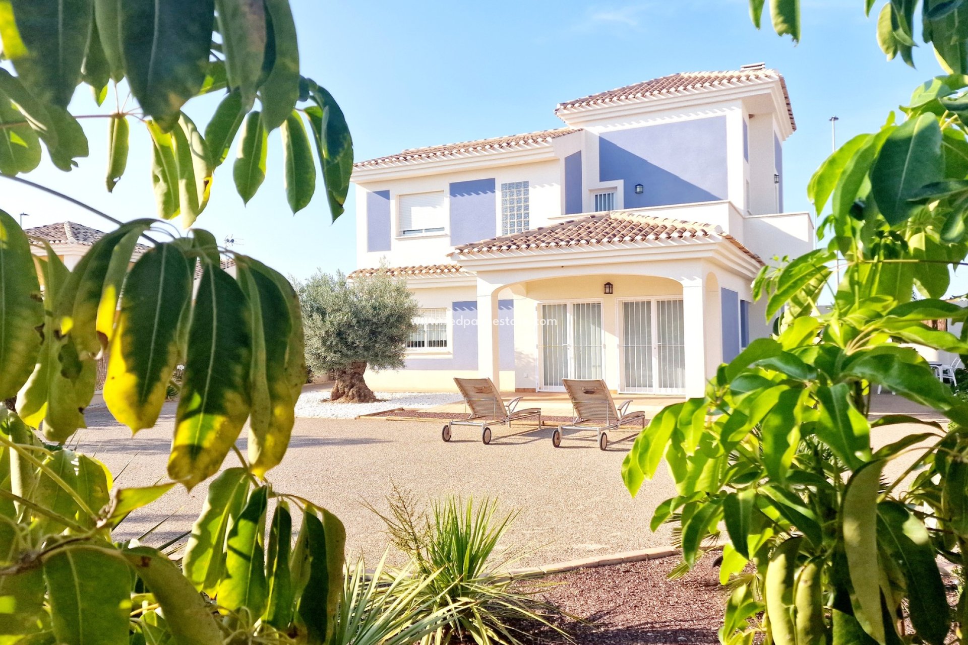 Obra nueva - Villa -
Purias