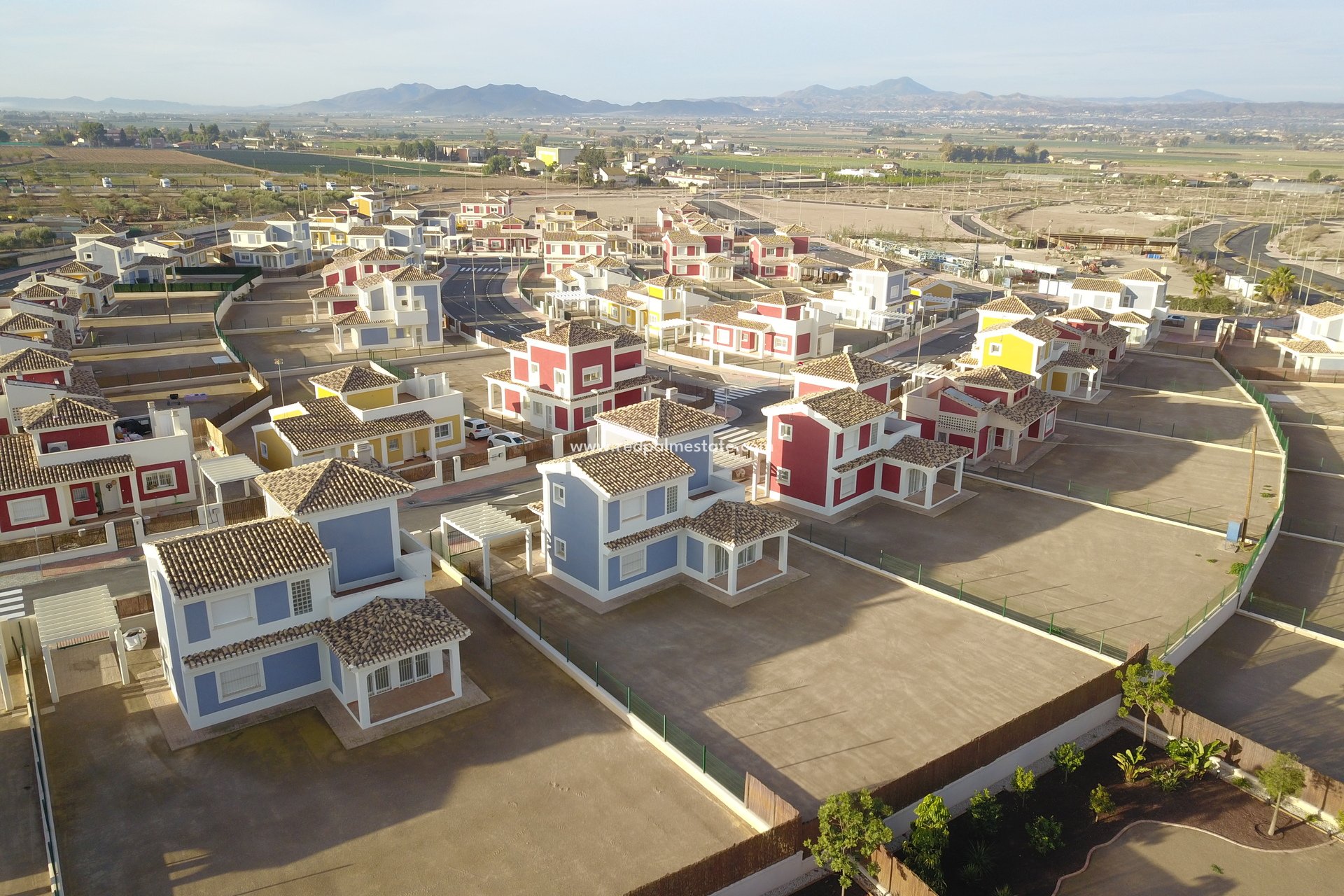 Obra nueva - Villa -
Purias