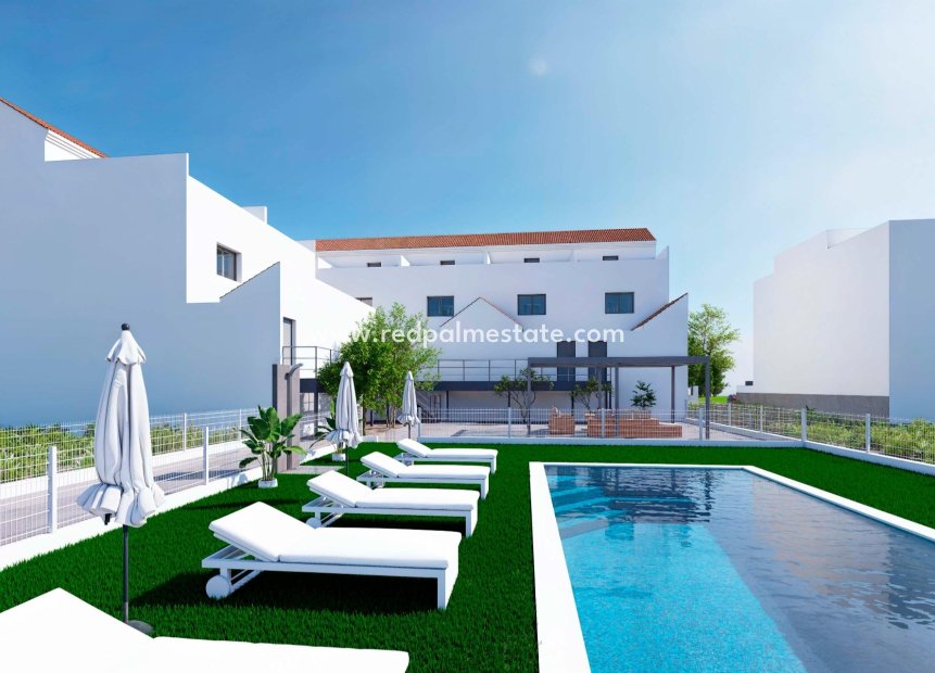 Obra nueva - Villa -
Rafal - pueblo
