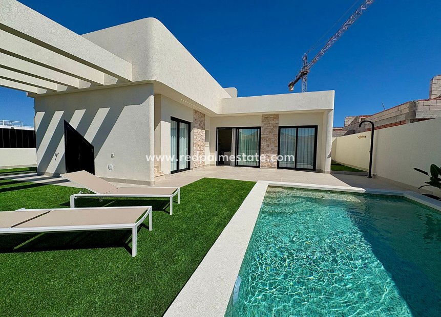 Obra nueva - Villa -
ROLDAN - Roldán